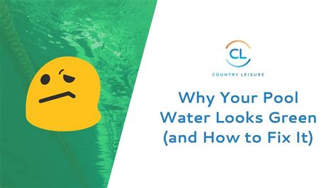 The strategies in this post have kept my own. Why Your Pool Water Looks Green (and How to Fix It) - YouTube