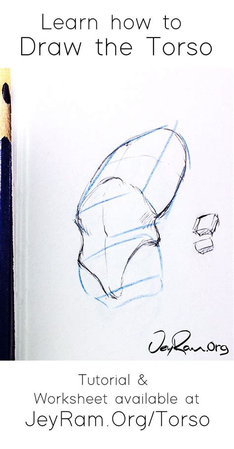 How To Draw The Torso Step By Step Tutorial In 2021 Torso Sketches