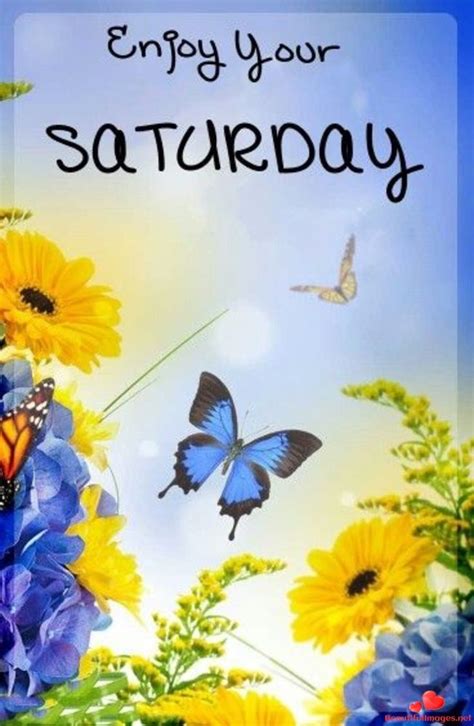 Happy Saturday My Friends Download For Free Nice Beautiful Pictures