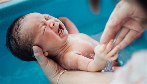 Recomendaciones para el baño del bebé recién nacido Portal Garrahan