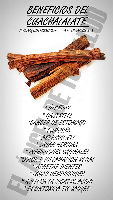 Maybe you would like to learn more about one of these? #BENEFICIOS #SALUD #CUACHALALATE #PLANTASMEDICINALES ...
