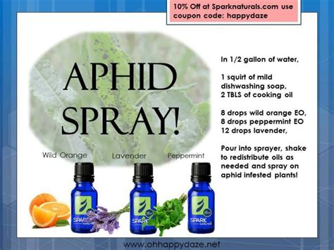 Aphid Spray Aphid Spray Edible Garden Aphid Spray Homemade
