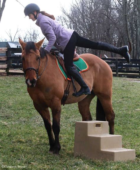 How To Mount And Dismount A Horse Mounting A Horse Horses Horse