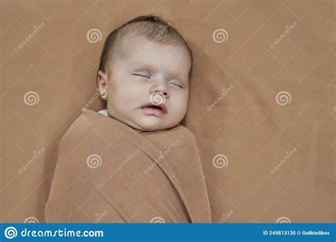 Sleeping Newborn Baby Girl Wrapped In A Brown Blanket Stock Image