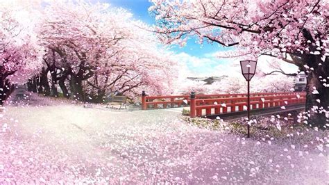 Nd Please Add Japanese Sakuracherry Trees With Falling Petals