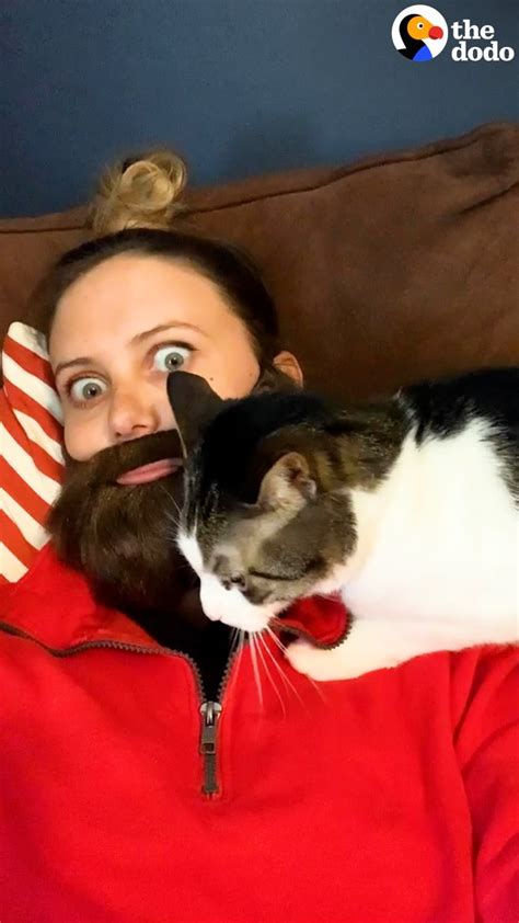 On Twitter Rt Dodo Cat Likes Dad Better Than Mom So Mom Starts Wearing Fake Beards