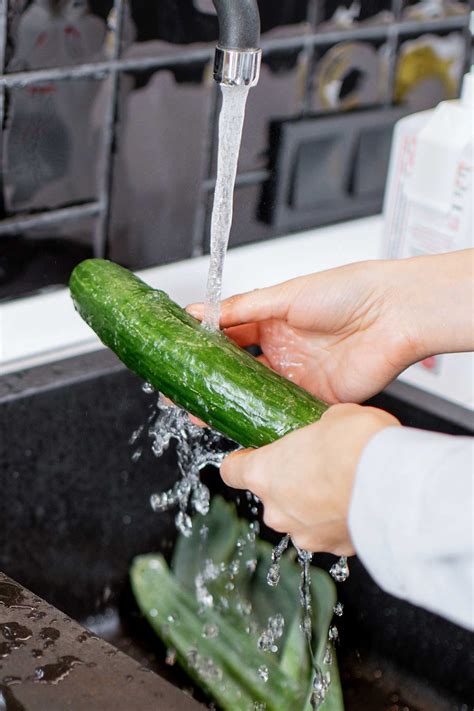 How To Store Cucumbers And Keep Them Fresh Momables