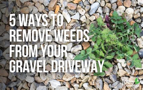 5 Ways To Remove Weeds From Your Gravel Driveway Joes Lawn Care