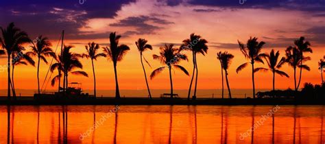 Beach Paradise Sunset ⬇ Stock Photo Image By © Maridav