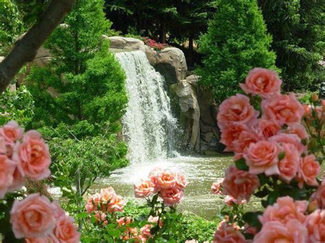 The Girl Who Keeps Dreaming Waterfall Garden Waterfall Beautiful