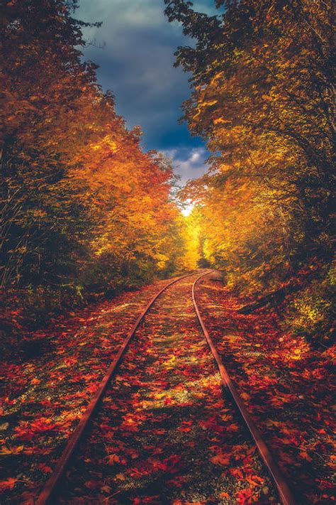 Autumn On The Railroad Art Print By Zach Doehler Icanvas Autumn