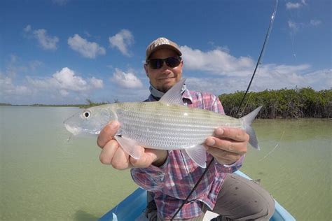 Fly Fishing Tulum All You Need To Know Before You Go