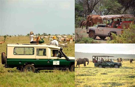 7 Best Safaris In Kenya For Fun Filled Adventure