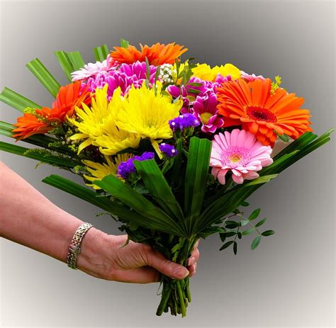Blumen Blumenstrauß Übergeben Kostenloses Foto Auf Pixabay