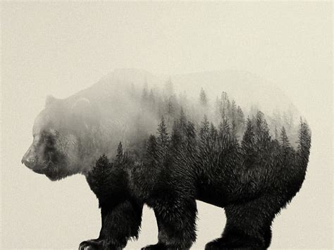 Double Exposure Portraits Show Beautiful Animals And Their Habitats