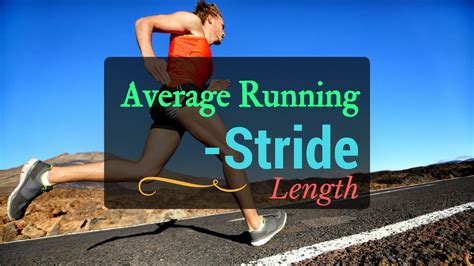 What Is The Average Stride Length In Competitive Running