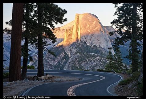 Picturephoto Half Dome Seen From Road Near Washburn Point Yosemite