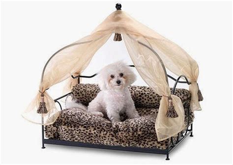 Curtain Ideas Canopy Dog Beds For Small Dogs