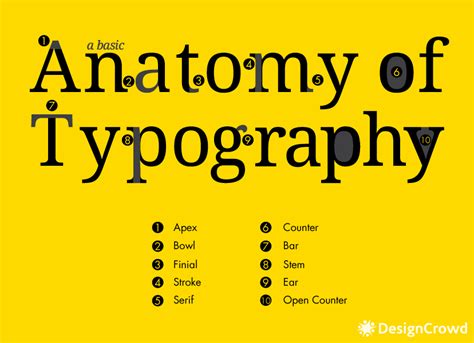 Typographic Terms Every Designer Should Know