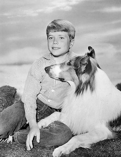 1000 Images About Lassie On Pinterest
