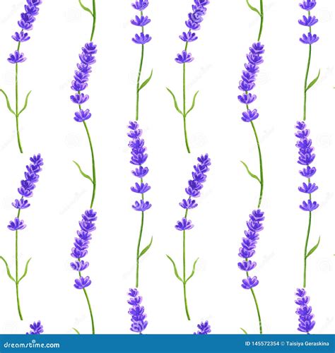 Lavender Flowers Seamless Pattern Hand Drawn Watercolor Illustration