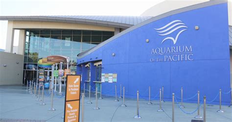 California S Largest Aquarium Might Be The Best Marine Experience Yet Flipboard