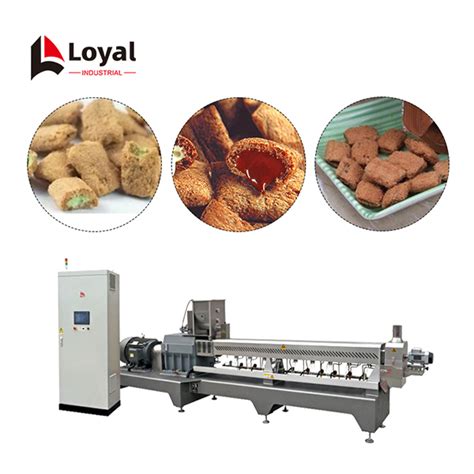 Snack Food Production Line Shandong Loyal Industrial Coltd