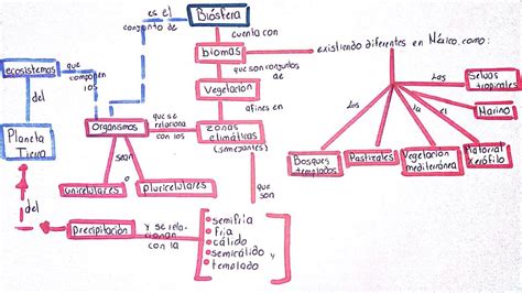 Mapa Mental Biomas Brasileiros Biomas Mapa Mental Mapa Porn Sex Picture