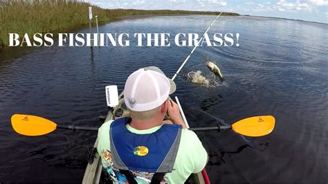 Bass Fishing In The Grass Back Bay Youtube