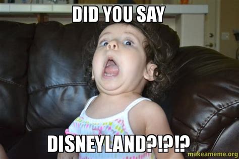 Did You Say Disneyland Make A Meme