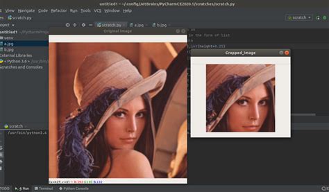 Cropping An Image Using Opencv In Python
