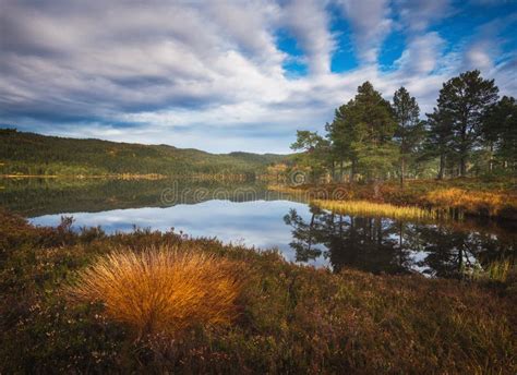 Autumn In Bymarka Area In Trondheim Norway Beautiful Reflections On