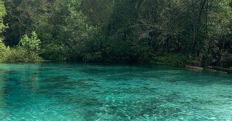We did not find results for: Ichetucknee Family Canoe and Cabins | The Dyrt