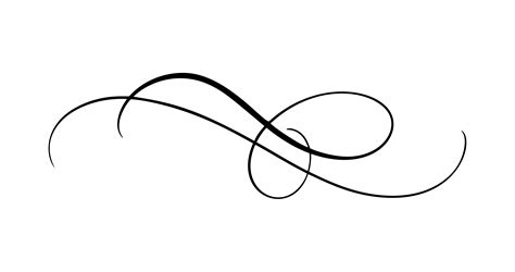 Calligraphy Swirls Vector