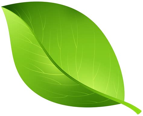 Leaf Clip Art Green Leaves Png Download 80006540 Free