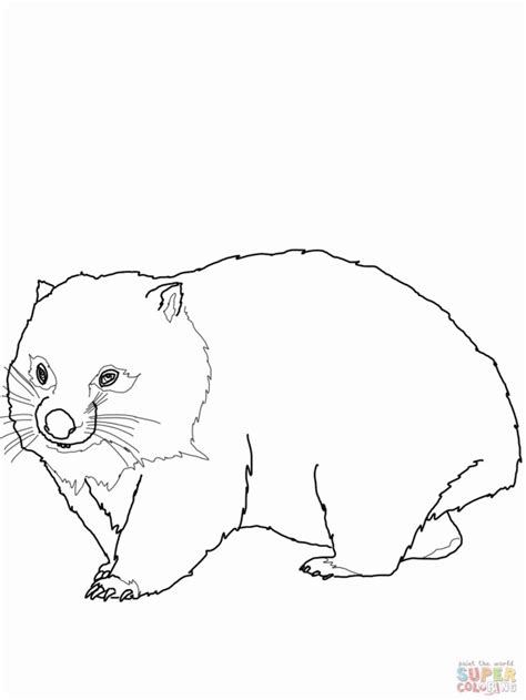 Wombat Coloring Coloring Pages