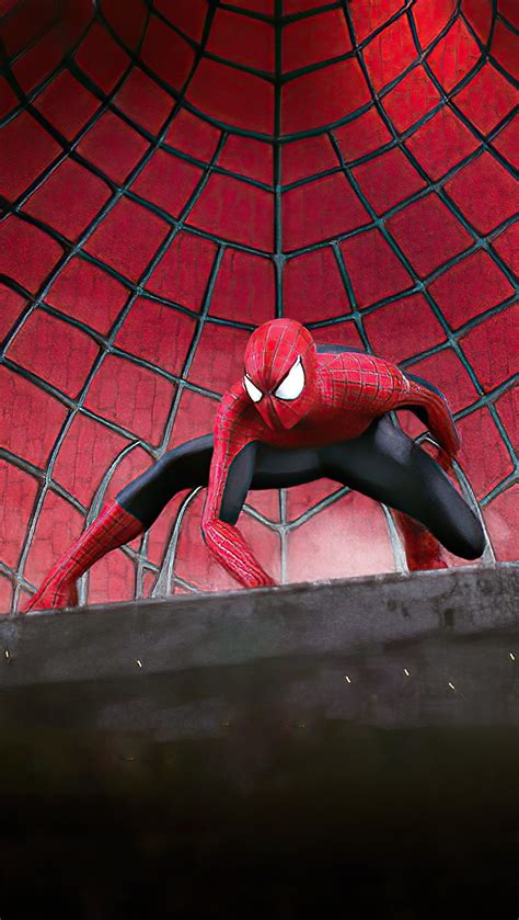 Top 101 About Amazing Spider Man Wallpaper 4k Billwildforcongress
