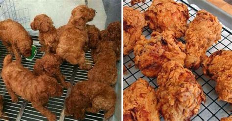 Compare your options for fried chicken delivery then place your. Can You Tell The Difference Between Delicious Food and ...