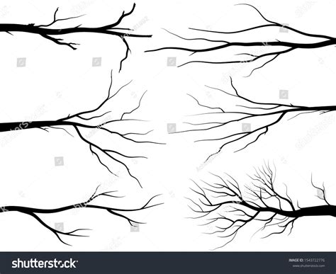 Black Branch Tree Naked Trees Silhouettes Stock Vector Royalty Free