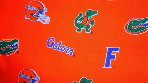 Florida Gators Wallpapers Wallpaperboat