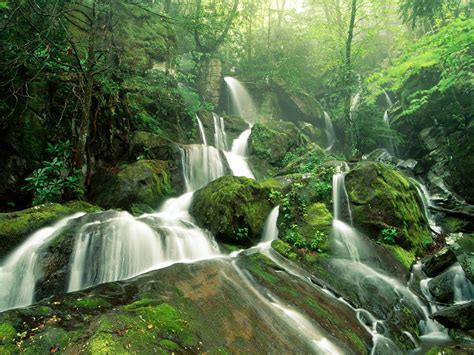 We did not find results for: Free wallpapers: beautiful nature paintings