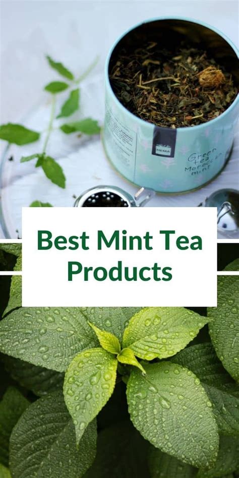 What Is The Best Mint Tea Brand Here Are My Favorites