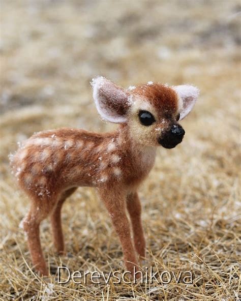 Baby Animals Cuter Than Humans