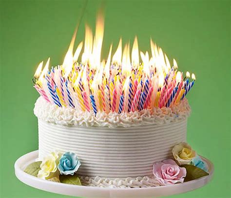 My Birthday Cake Candles Almost Started A Forest Fire Santa Monica Daily Press