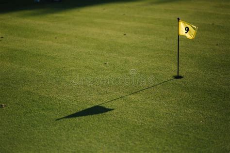 Beautiful Green Field Golf Grass And Hole With Flag Stock Photo Image