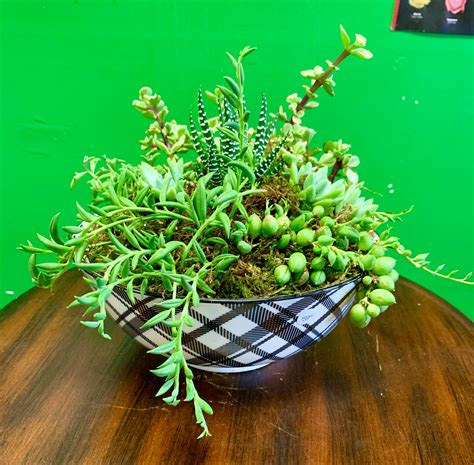 We did not find results for: Mix Succulent Planter 4 in Moreno Valley, CA | Garden of Roses