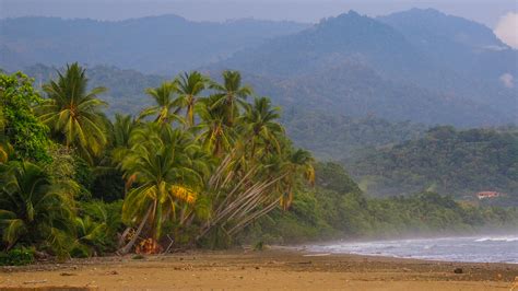 Dominical Costa Rica Dominical Costa Rica Surf And Travel Guide So