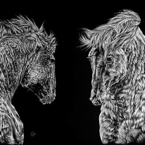 Wildlife Scratchboard Portraits By Coletop10 Artist On Zealous