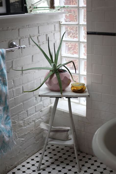 The bathroom is truly one of the most important rooms in the house. Best Plants That Suit Your Bathroom - Fresh Decor Ideas