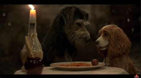 Lady And The Tramp Live Action Trailer From D23 Geek World Order